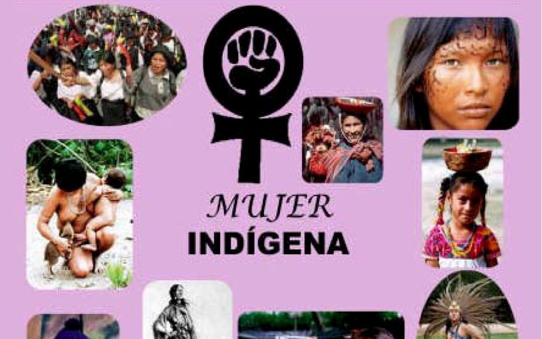 Lucha Indígena N°11, Marzo-Abril 2007