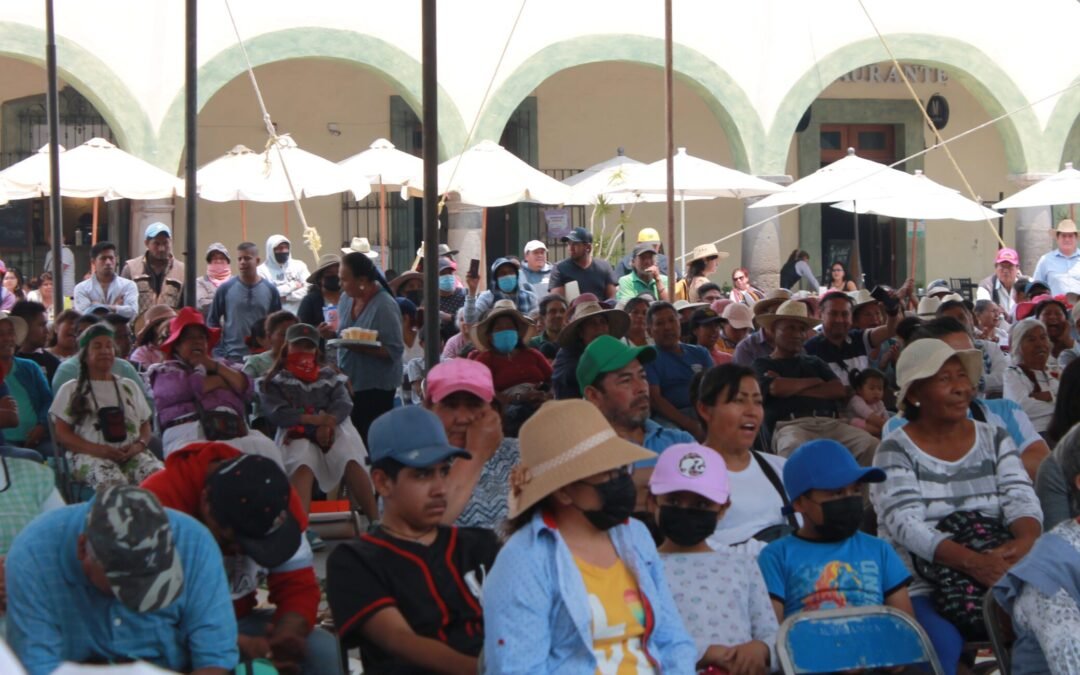 En medio de la guerra, los Pueblos Cholultecas siembran rebeldía y Autonomía