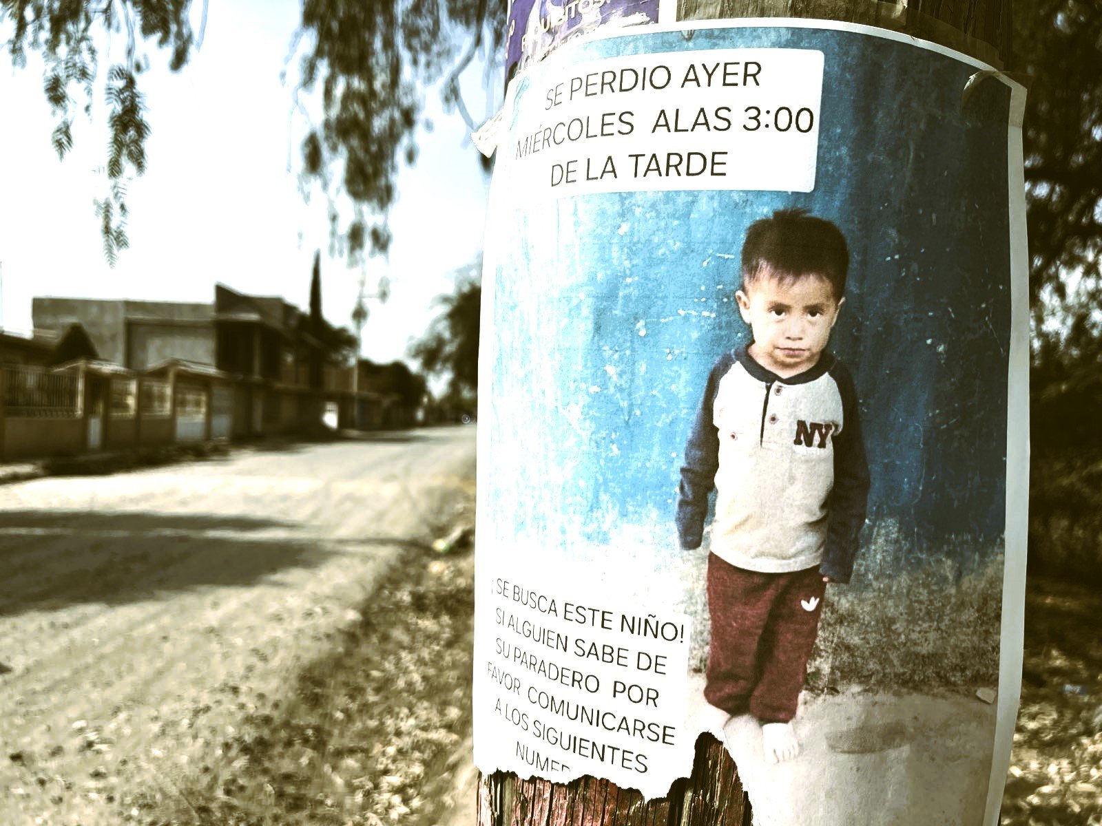 Javier, niño jornalero