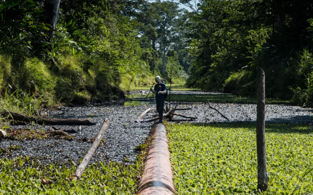 “Hay desconfianza porque se ha perdido el contacto con las bases”