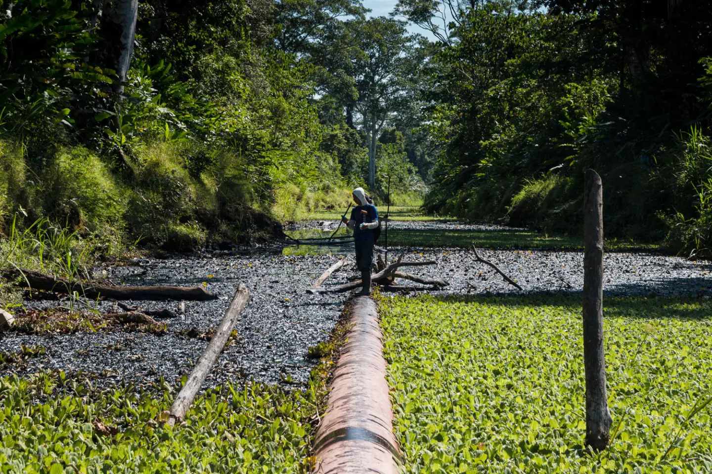 “Hay desconfianza porque se ha perdido el contacto con las bases”