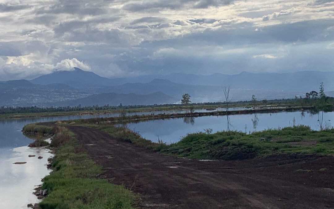 Defendiendo el derecho al agua y la agricultura ancestral nahua