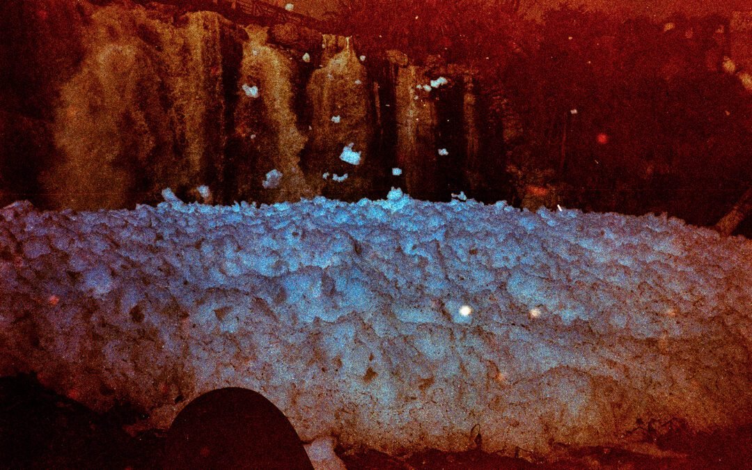 Carroña. Evidencia fotográfica del ecocidio en el río Santiago.