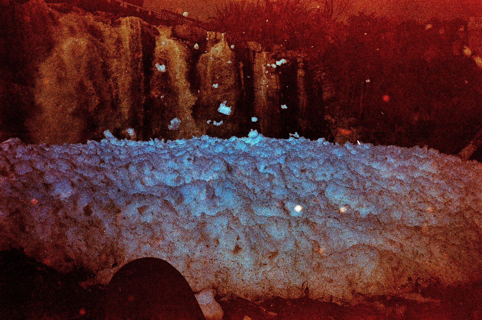 Carroña. Evidencia fotográfica del ecocidio en el río Santiago.