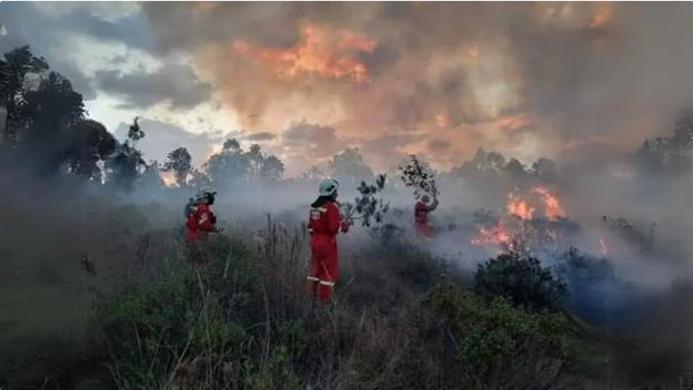 Indiferencia del estado frente a los incendios en la Amazonía